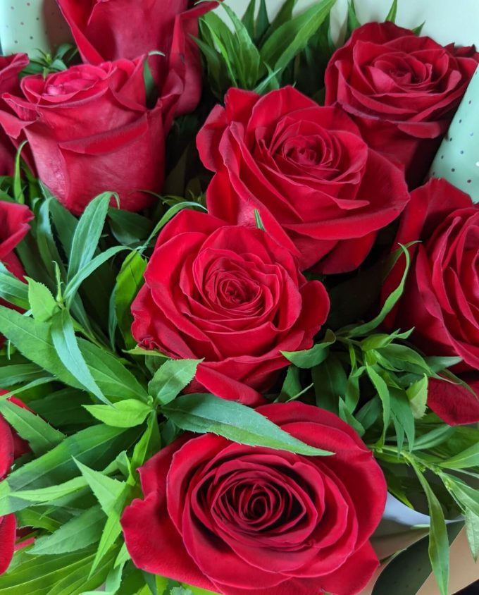 красные розы в гомеле с доставкой