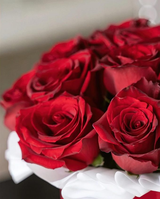 Бархатные красные розы в коробке шляпной