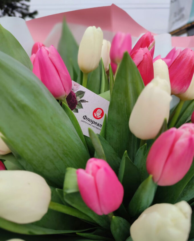 букет разноцветные тюльпаны купить в Гомеле с доставкой