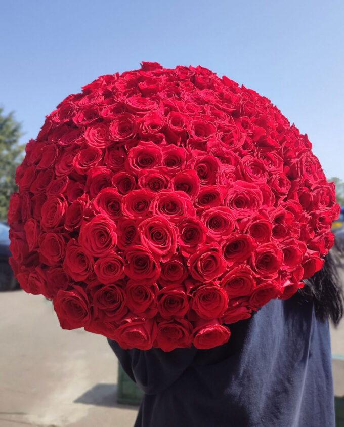 101 красная роза Гомель