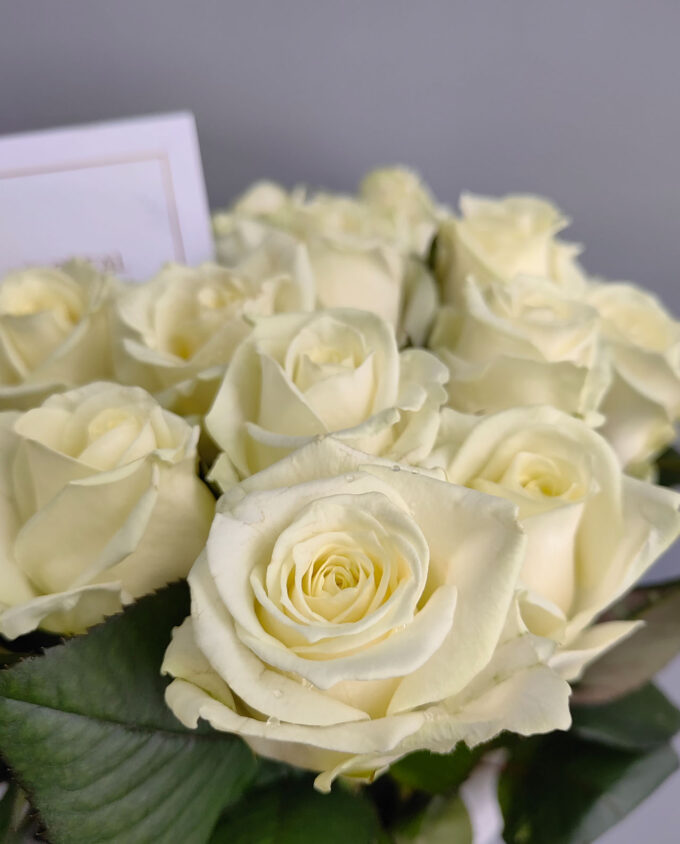 белые пионовидные розы в гомеле доставка цветов